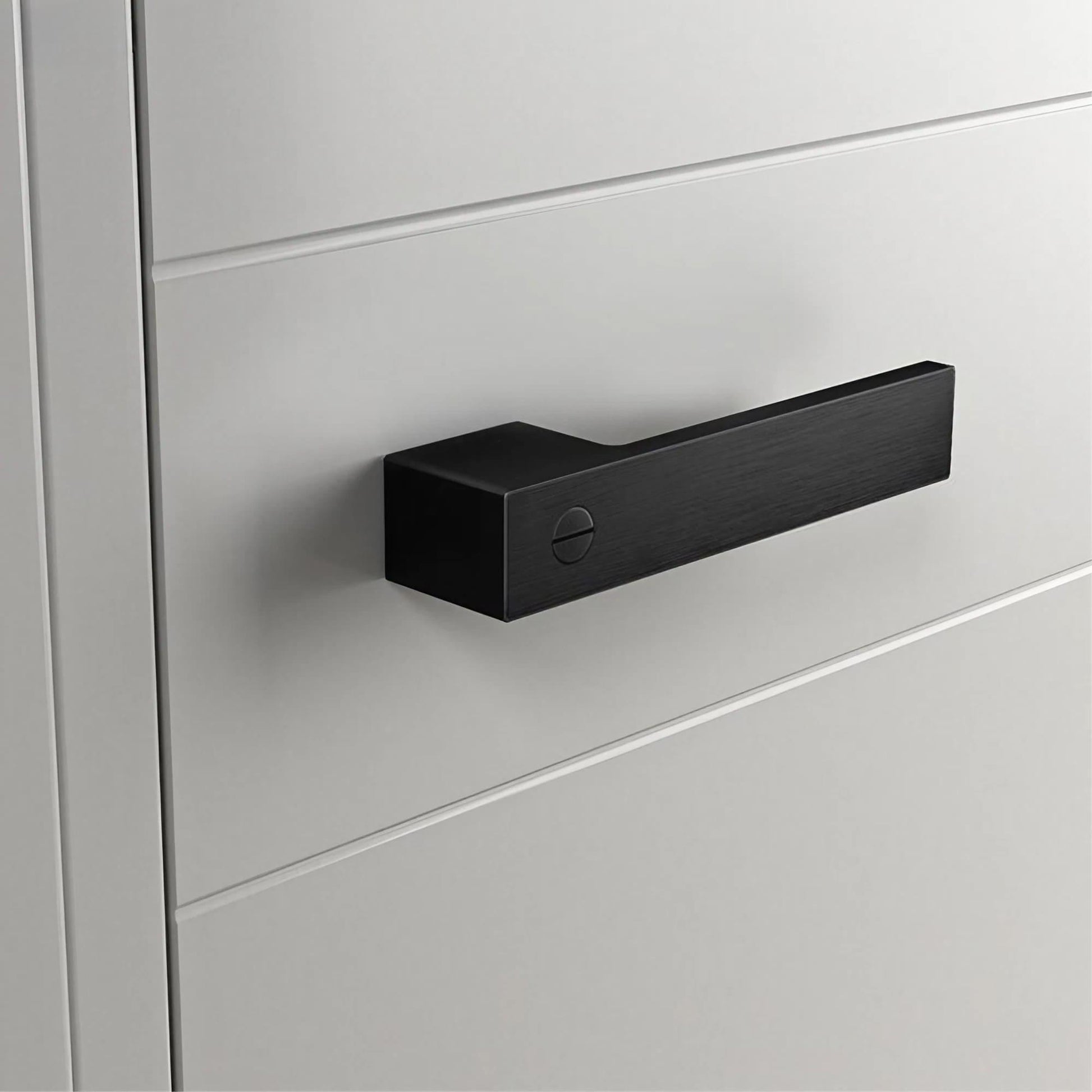 C01-T15-Black-Interior-Door-Handles-04