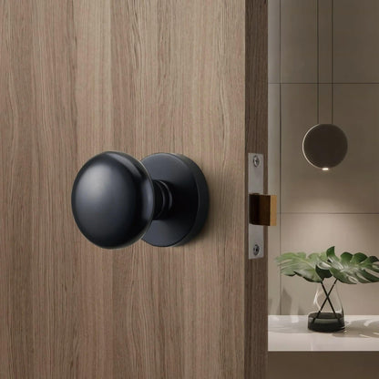 C20-T41-Black-Door-Knobs-01