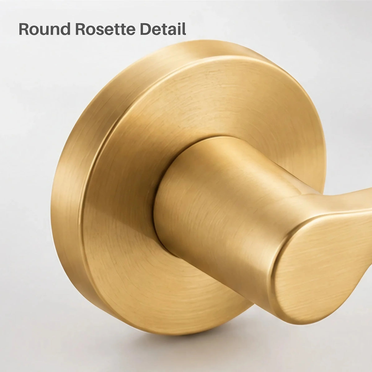 Round rosette detail of a modern keyed interior door handle
